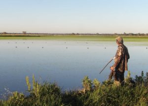 Duck Control Duck Control